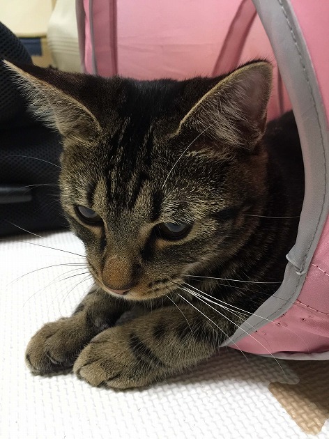 遊び疲れた。。。