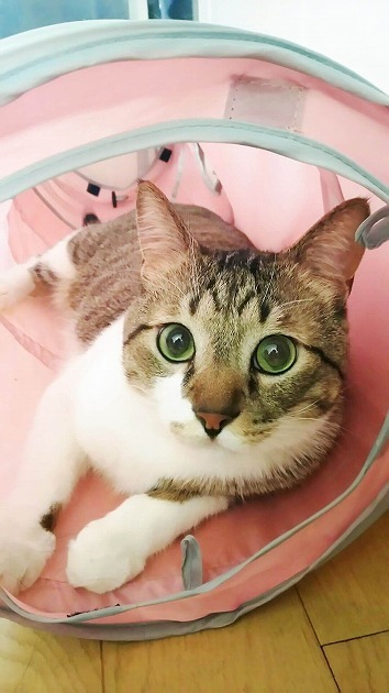 早く来てよ～～