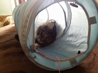 早速のくいつきです。。