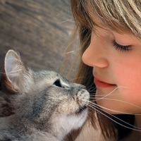 愛情じゃニャイの😼猫が自分の匂いを飼い主になすりつける意外な理由