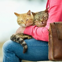 死ぬまでペットと一緒に暮らしたい！そのために今からやるべきこと①