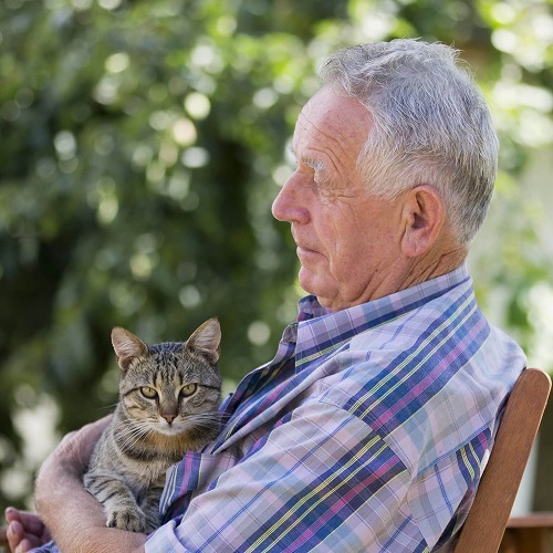 死ぬまでペットと一緒に暮らしたい！そのために今からやるべきこと②