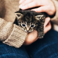 万が一の場合も大丈夫！自分にもしものことがあった場合はこの3つ！