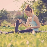 猫の気持ちがわからない…（＝´♀｀＝）と思った時に見直したい2つのルール