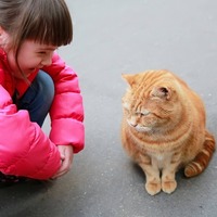 あなたも猫と話せる？アニマルコミュニケーターが実践！猫と話す方法