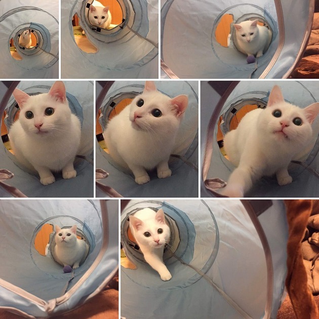 トンネル探検中