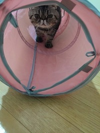 いまから行くよ