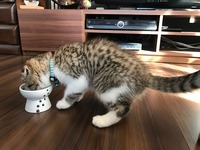 初めてのおやつ❤