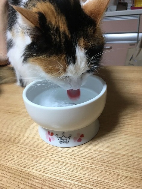 いいこでねんね