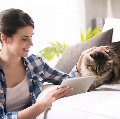 嫌われてる？抱っこ嫌いの猫に試してみよう！あなたと猫のラブラブ度