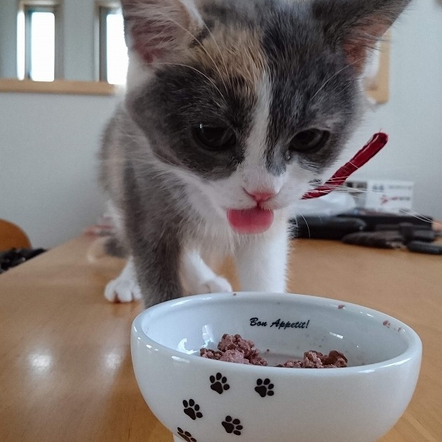 たくさん食べて大きくなって