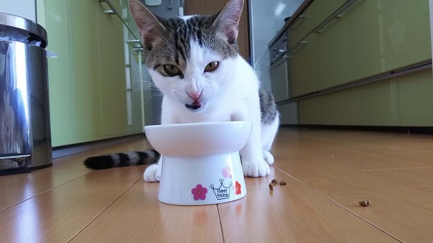 小悪魔ちーちゃん❤