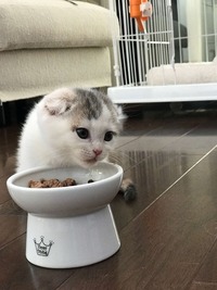 ボニーちゃんのランチ