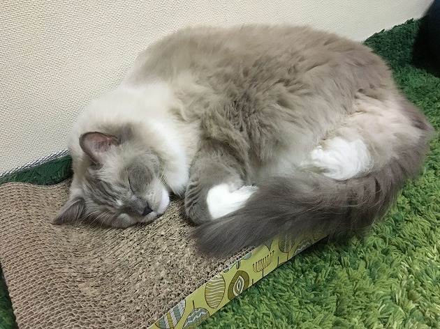 お気に入りの場所