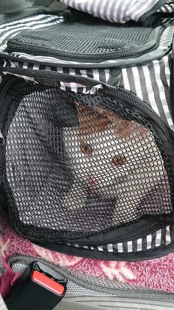 これから病院にいくところ・・・