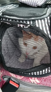 これから病院にいくところ・・・