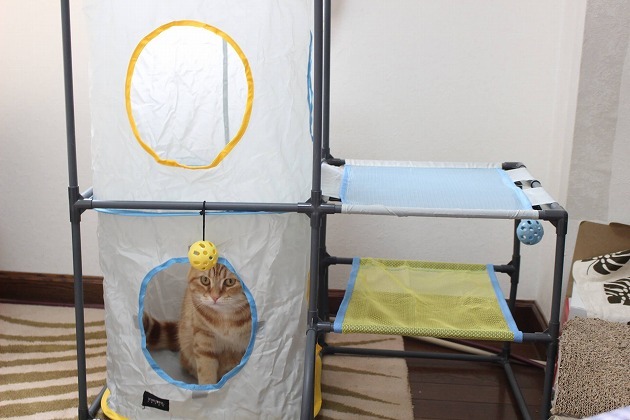 写真投稿でいただきました