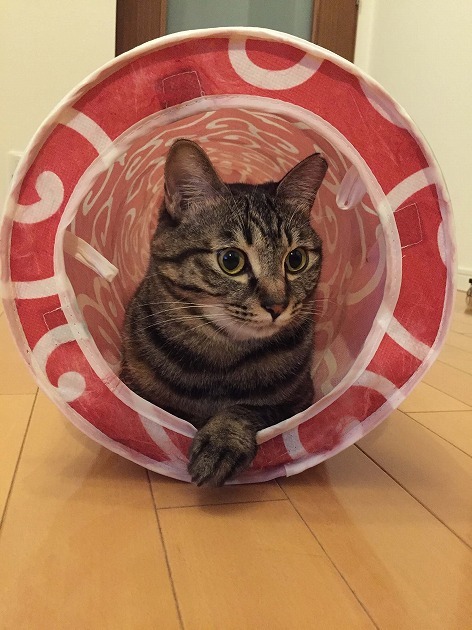 1人になりたいとき…