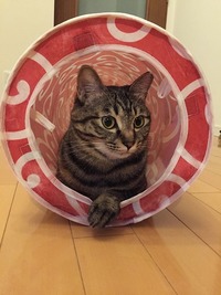 1人になりたいとき…