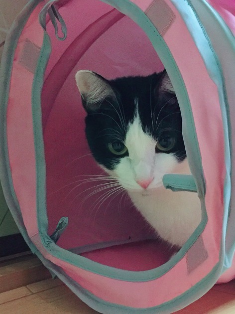 どちら様ですか？