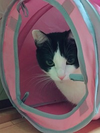 どちら様ですか？