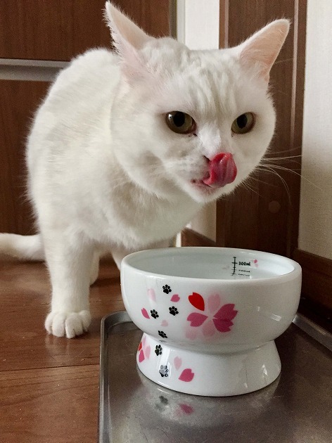 お水がうまいっ！！