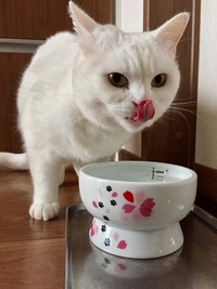 お水がうまいっ！！