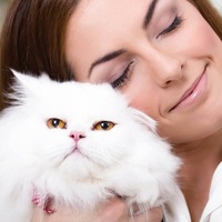 野良猫と飼い猫の違いはここでわかる！飼い猫と人間が絆が深い理由とは