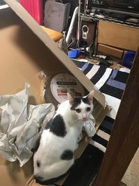 気になる気になる