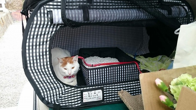 お出かけしました！