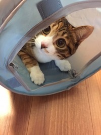 はじめてのお誕生日プレゼント🎁