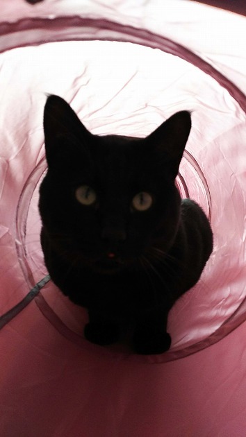 トンネルのなかで、満喫中‼️