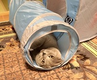 くつろぎタイム