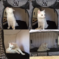 検品！それからのグルーミング♡