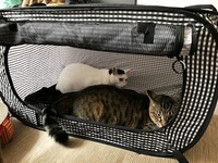 おそるおそる…