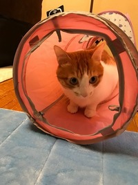 初めてのトンネル