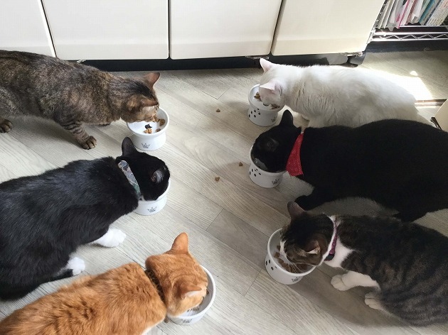 楽しい給食、美味しいな～！