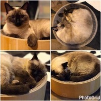 ◎まるまる◎まったり◎