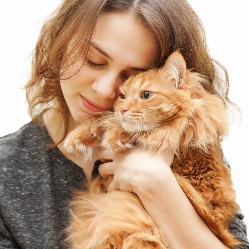 猫が好きすぎてたまらニャイ！実はその気持ち、あなたが〇〇だからかも