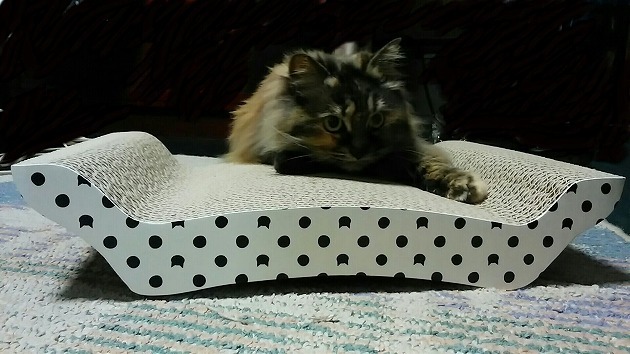 二台目もよろしく