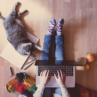 あなたの猫のIQはどれ位？愛猫の知能と賢さを調べるチェックテスト♪