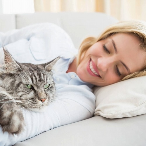 飼い主さんに聞いた！シニアの猫はこんなところが魅力的です♪