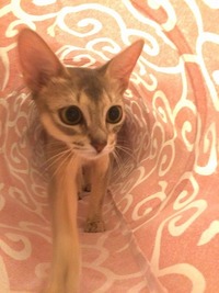 トンネルの向こうには、ワクワクが！