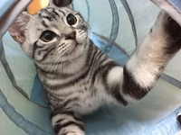 オイオイヨ！！