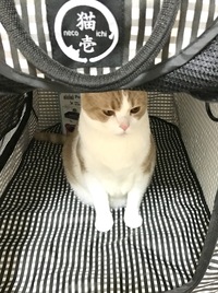 いらっしゃいませ…