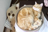 バリバリボウルでまったり