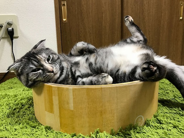 バリバリボウル大好き💕