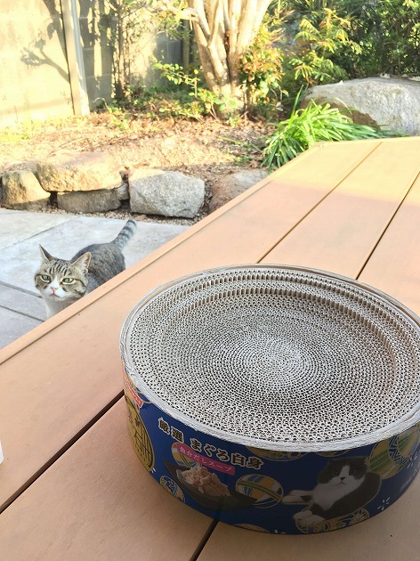 生まれて初めてのバリバリボウル！