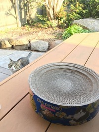 生まれて初めてのバリバリボウル！