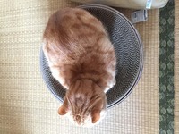 クンクンチェック中